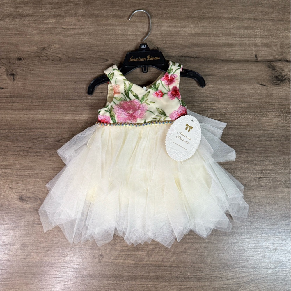 NWT American Princess Baby Girls Floral Dress 3M